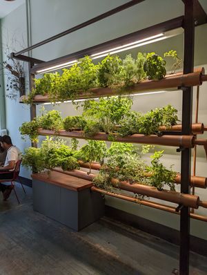  at Bvrger in Montreal