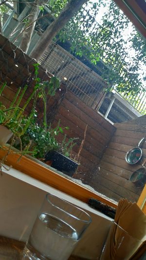 By the window at Darling SameYoung 大人山養 in Taipei