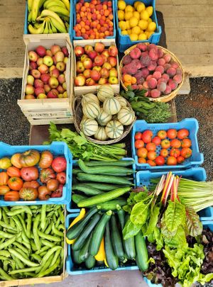 fruits et légumes d'été at La frisette du chou in Blaregnies