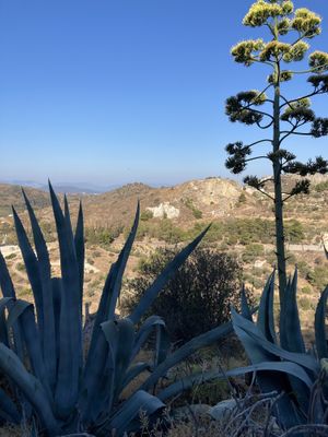   at Kiki Rebel Tours in Aegina