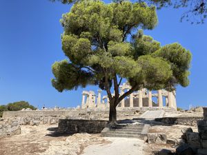   at Kiki Rebel Tours in Aegina