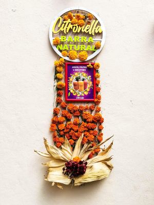   at Citronella in Oaxaca