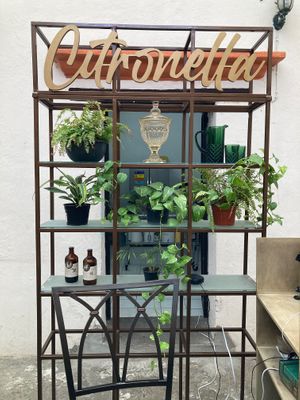  at Citronella in Oaxaca