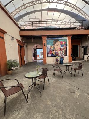   at Citronella in Oaxaca