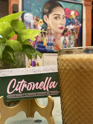   at Citronella in Oaxaca