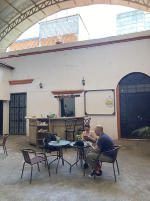Inside   at Citronella in Oaxaca