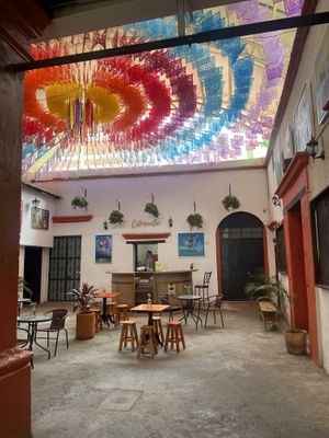   at Citronella in Oaxaca