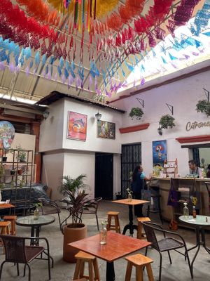   at Citronella in Oaxaca