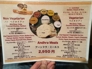 Combo Menu at Andhra Dining in Tokyo