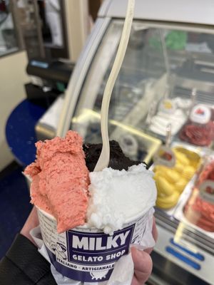   at Milky Gelato Shop in Rome