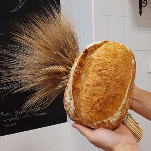 Hogaza de trigo blanco eco at ORIGEN El Raval in Mogente