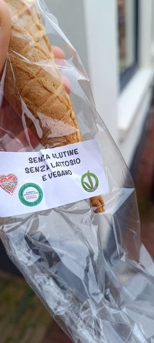 Gluten free cones are vegan at Scoops in Oostkapelle