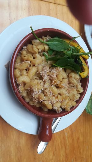 Vegan mac and cheese at Antonio's Cafe in Palmerston North