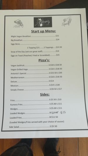 Menu with multiple vegan options at Antonio's Cafe in Palmerston North