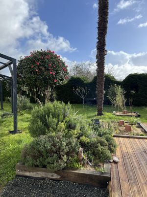 Garden view   at Au 46 en Bretagne in Benodet