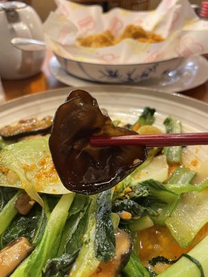  #Veganuary at China Fusion in Marrickville