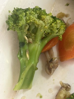   at Fortunate Coffee in Ubud