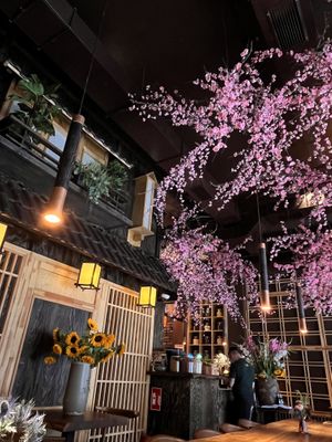   at Mido Sakura Vegan in Berlin