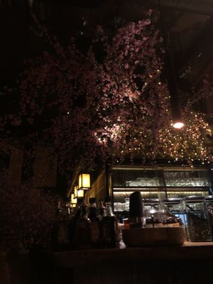   at Mido Sakura Vegan in Berlin