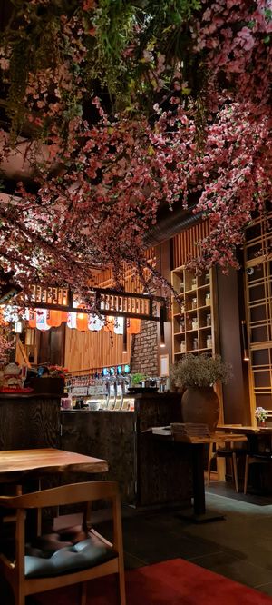 Innen at Mido Sakura Vegan in Berlin