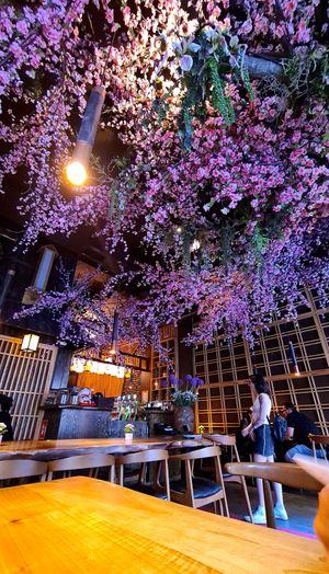 Impressive interior 🌸 at Mido Sakura Vegan in Berlin