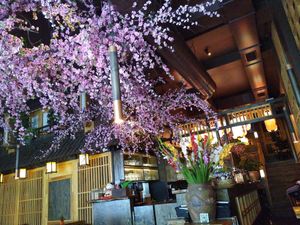 Interior design at Mido Sakura Vegan in Berlin