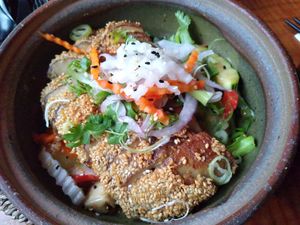 Vegan duck at Mido Sakura Vegan in Berlin