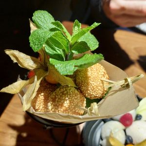 Fried sesame balls at Mido Sakura Vegan in Berlin