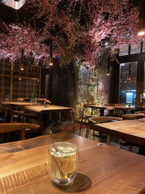   at Mido Sakura Vegan in Berlin