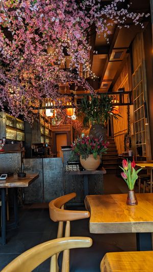  at Mido Sakura Vegan in Berlin