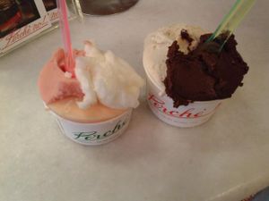 sorbettos and soy gelatos at Perche No in Florence
