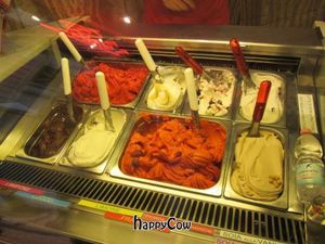 Front case where the vegan ice creams are -- there are 2 flavors here that are not vegan, you must ask to be sure. at Perche No in Florence