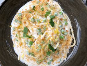 bucatini with vegan cashew cream at Black Radish in Tallahassee