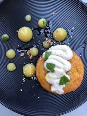 orange olive oil cake (vegan) at Black Radish in Tallahassee