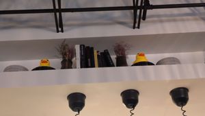 Rubber duckies for ambiance at Black Radish in Tallahassee