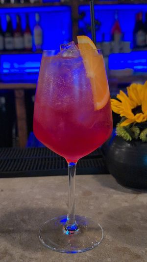 Scrappy Shrub (nonalcoholic) at Black Radish in Tallahassee