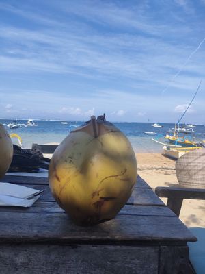 Young Coconut at LeMo Beach Café in Denpasar