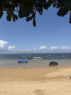   at LeMo Beach Café in Denpasar