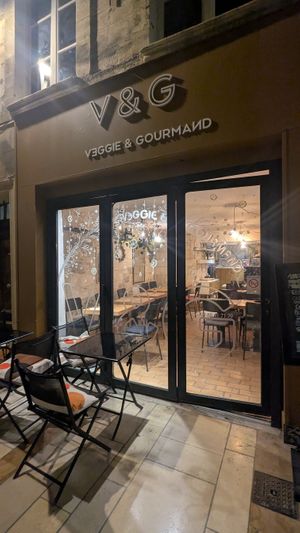 Veggie and Gourmand at V&G in Avignon