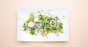  at Katari Farms in Berlin