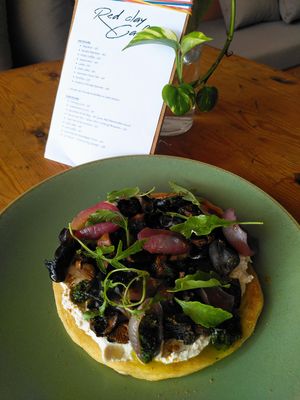 Msemen
Flaky Moroccan pancake/mushrooms sautée with mrouzia/plant base ricotta/roasted onion/zhoug  at Redclay Cafe in Taghazout