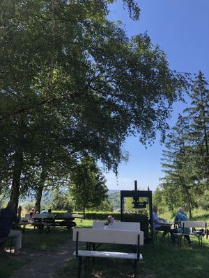 Outside area close to vineyards   at 7 Linden Waldschenke in Stuttgart