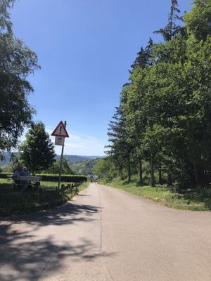 nice for hiking, biking or walk through the forest   at 7 Linden Waldschenke in Stuttgart