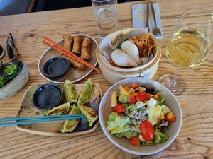 Spring rolls,  gyoza, bao buns 1 tofu with satay sauce & 1 soya mince with hoi sin sauce,  and a side salad. at NASHI in Fuessen