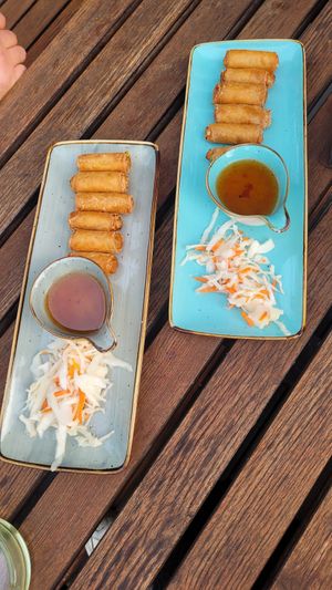 Frühlingsrollen at Wok-Art in Giessen