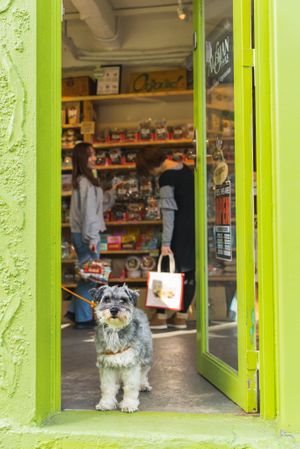  at Alishan Park アリサンパーク in Tokyo