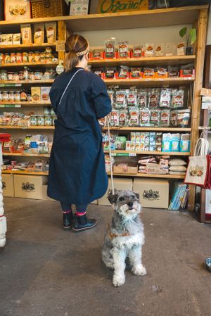  at Alishan Park アリサンパーク in Tokyo