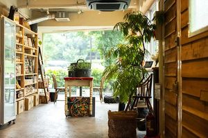  at Alishan Park アリサンパーク in Tokyo