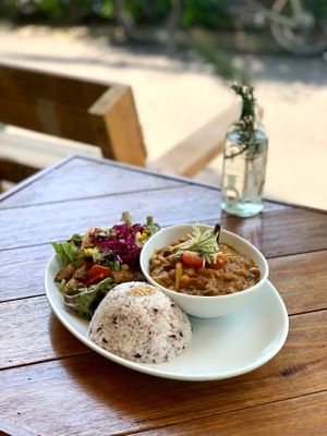 Vegetarian Spice Curry at Alishan Park アリサンパーク in Tokyo