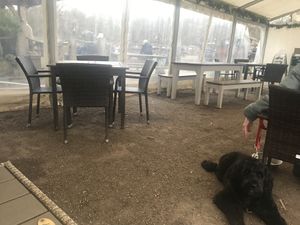   at Heather Farm Café in Woking